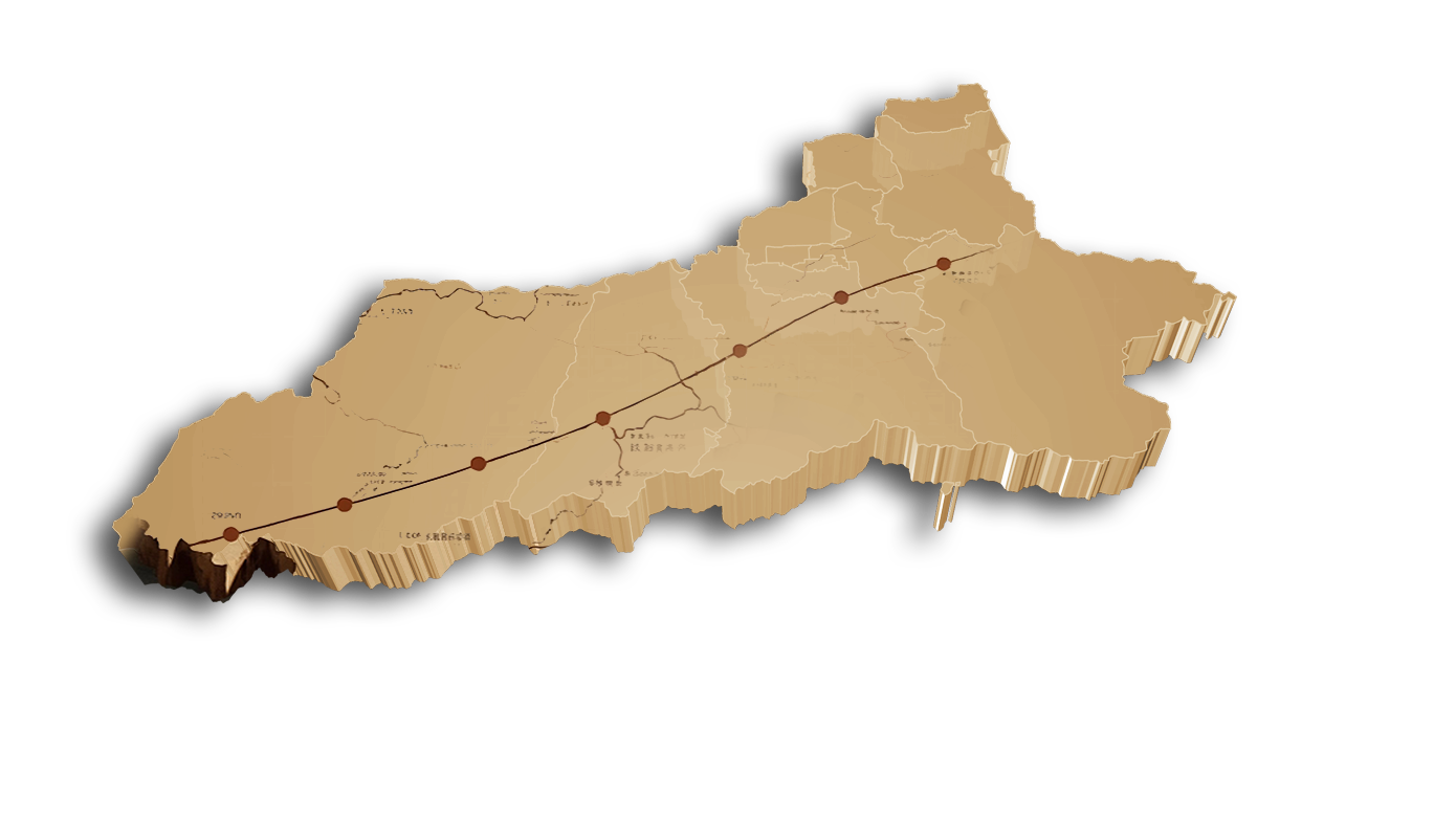 陜西汽車控股集團有限公司